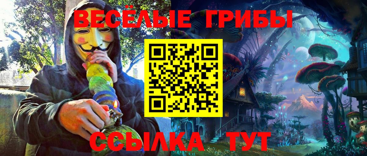 Псилоцибиновые грибы Psilocybe  дарнет шоп  Ейск  Вход с VPN  Галлюциногенные грибы ЛСД 